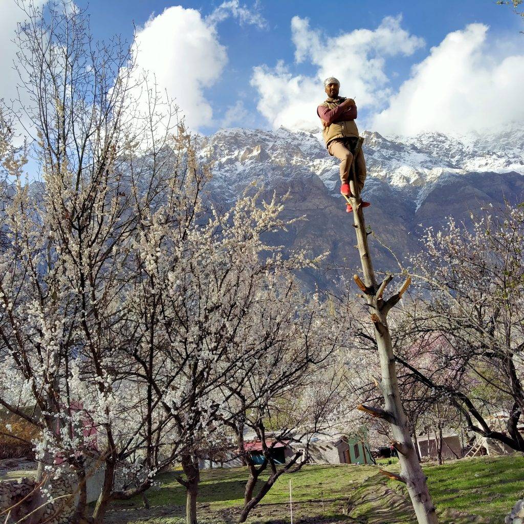 Spring season valley SAS valley Nagar North of Pakistan