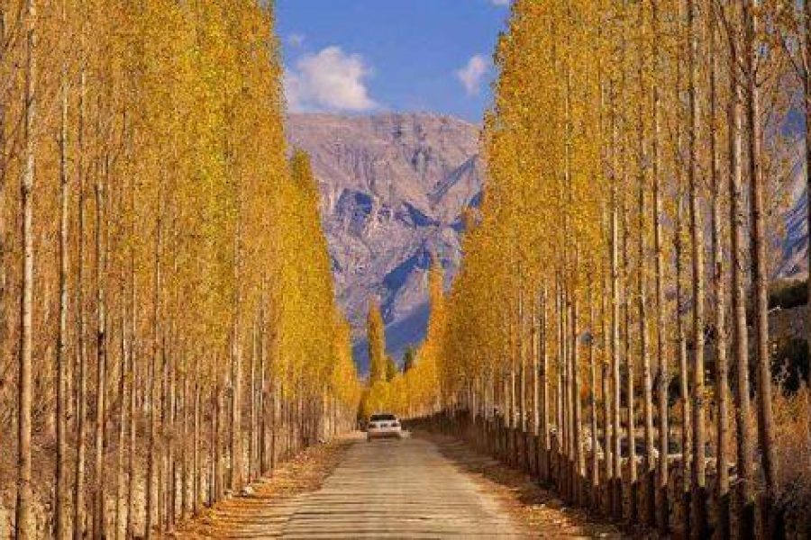 Beautiful Autumn Tour packages HunzaNagar Find & Book Now 2024-25