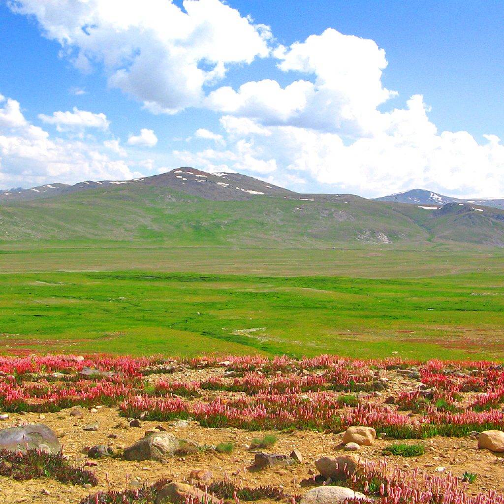 Deosai northern area of Pakistan