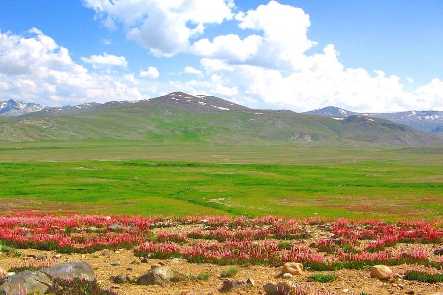 Deosai northern area of Pakistan