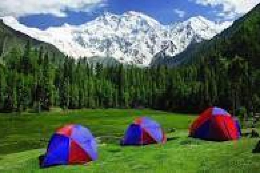 Best Fairy Meadows Tour Packages (8 Days) for 2024-25 Book Now.